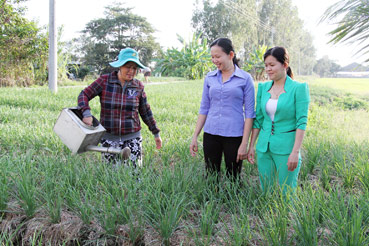 Hội LHPN xã Thạnh Phú xây dựng nhiều mô hình, phần việc thiết thực làm...