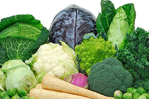 Phụ nữ lớn tuổi ăn rau họ cải giảm nguy cơ đột qụy