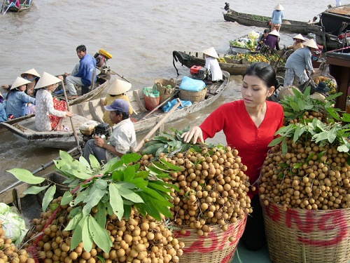 Kịp thời bổ sung nguồn lực cho phát triển vùng Đồng bằng sông Cửu Long