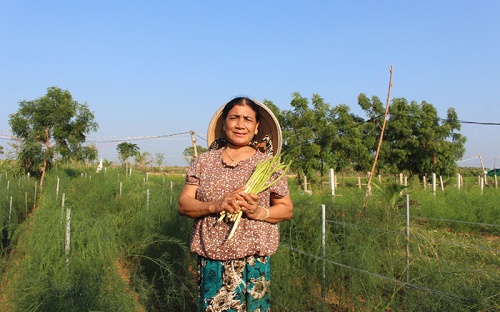 Nâng cao vai trò của phụ nữ trong phát triển kinh tế nông nghiệp