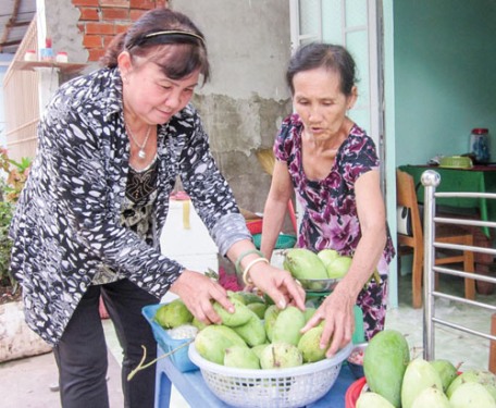 Tổ trưởng tổ tiết kiệm vay vốn trách nhiệm, năng động