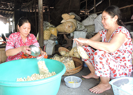 Mùa cốm Tết ở “xóm nổ” Trung Thạnh