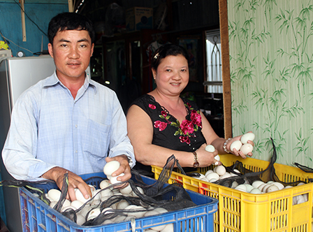 Cần mẫn xây tổ ấm
